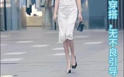 蒋伟文亚洲鸟王